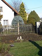 Třibřichy